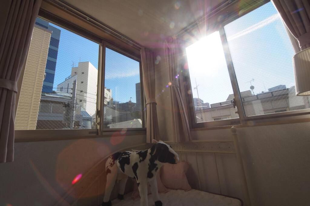 【Great Location!】Near Shinjuku Sta./Girls #302 Apartamento Tóquio Exterior foto